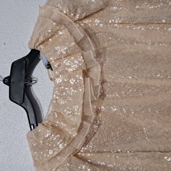 Antonio Melani x Nicola Bathie Champagne Gold Sequin Shelby Blouse - Picture 8 of 14